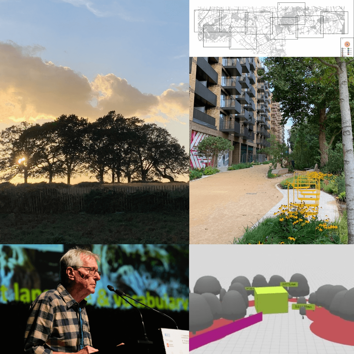 Tree Works Guide This Week at Treework | Projects, Updates & Arboricultural Insights